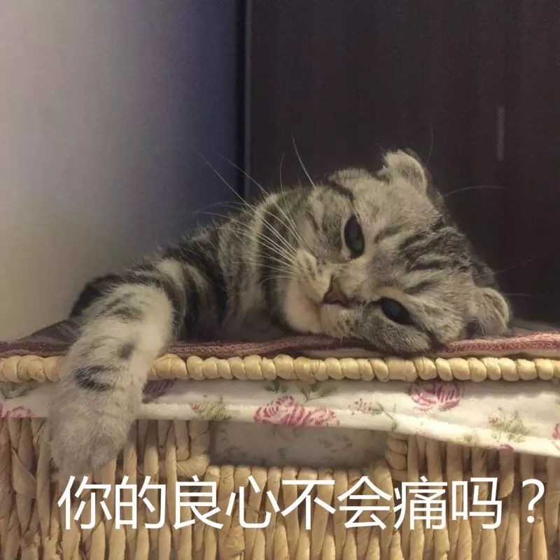 DƬ